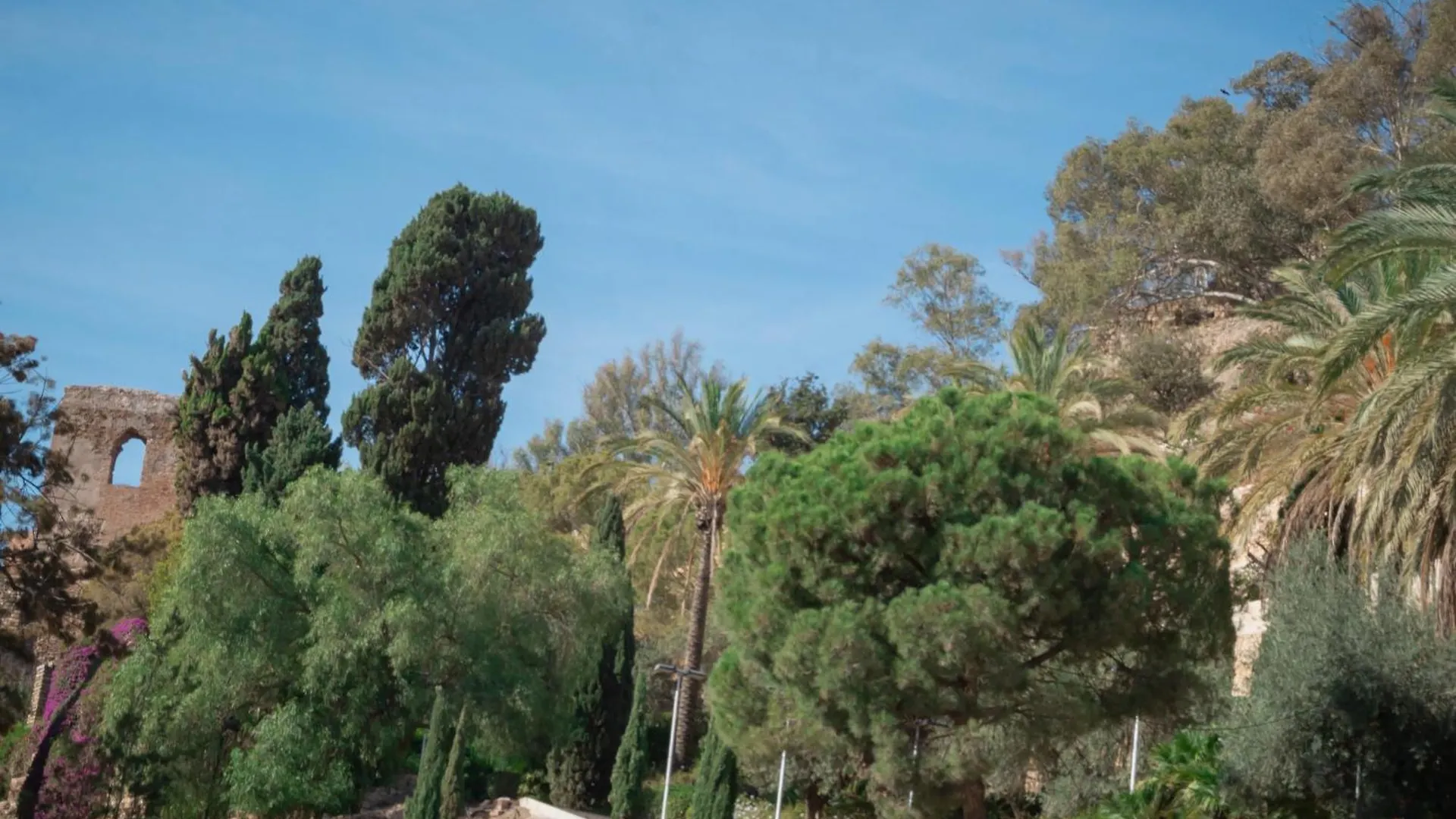 Picasso Premium Apartment Malaga